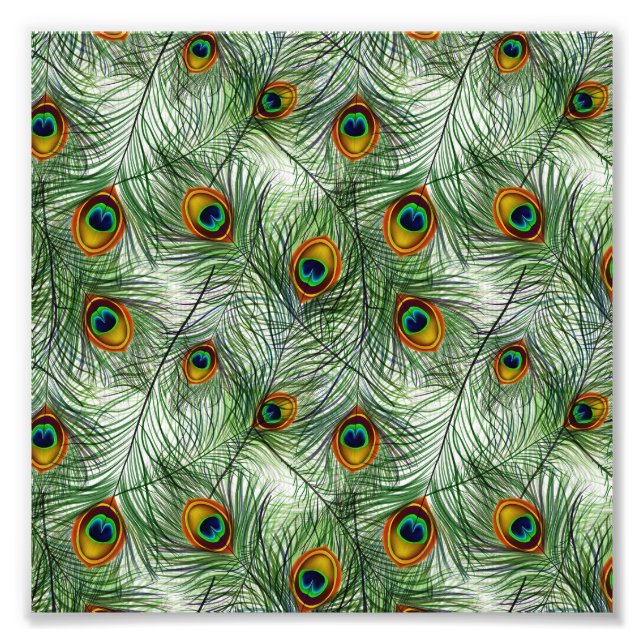 Foto Belo Pavão Verde (Frente)