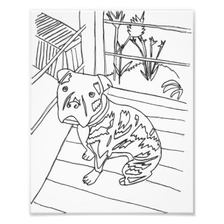 Foto Bev the Pup Impressão