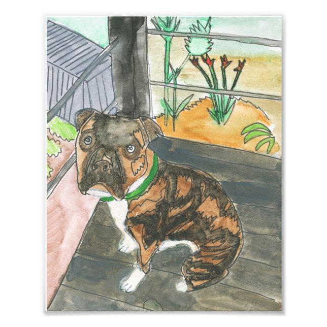 Foto Bev the Pup Impressão (Frente)