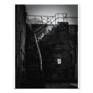 Foto Bicicleta do savana