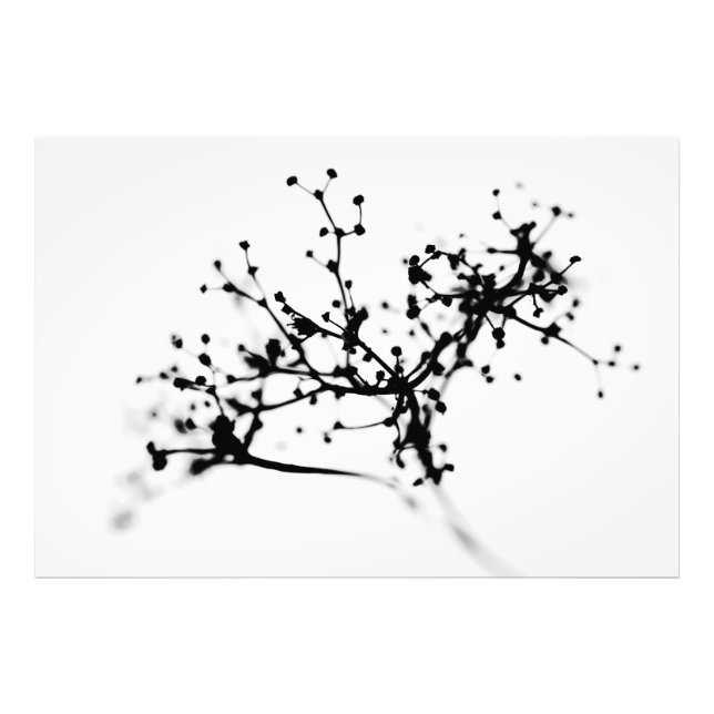 Foto Bioquímica do inverno (Frente)