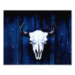 Foto Bison Skull