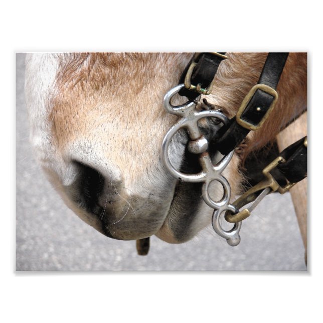 Foto Bit de condução (Frente)