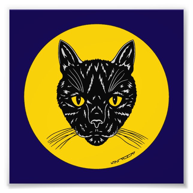 Foto Black Cat Face Photo Print (Frente)