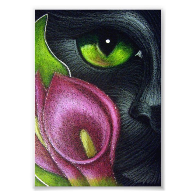 FOTO BLACK CAT MAGENTA CALLA LILY FLOWERS IMPRESSÃO (Frente)
