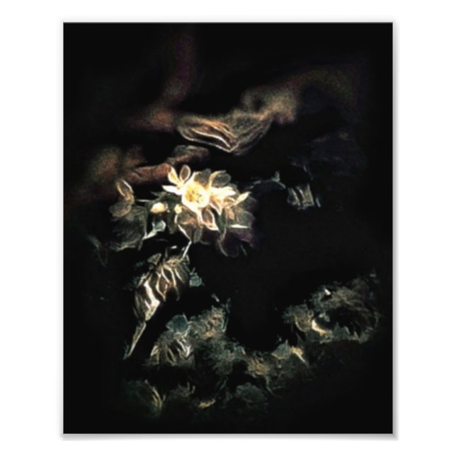 Foto Bloomed (Frente)