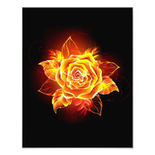 Foto Blooming Fire Rosa