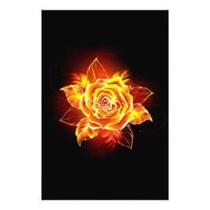 Foto Blooming Fire Rosa