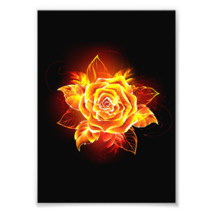 Foto Blooming Fire Rosa