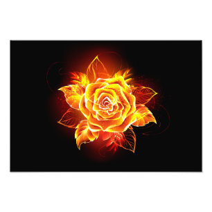 Foto Blooming Fire Rosa