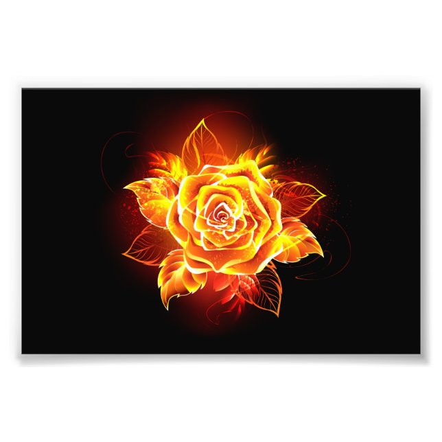 Foto Blooming Fire Rosa (Frente)