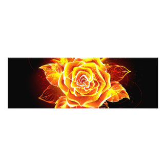 Foto Blooming Fire Rosa