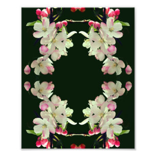 Foto Blossomas de Maçã de Primavera inicial Abstrato Ar