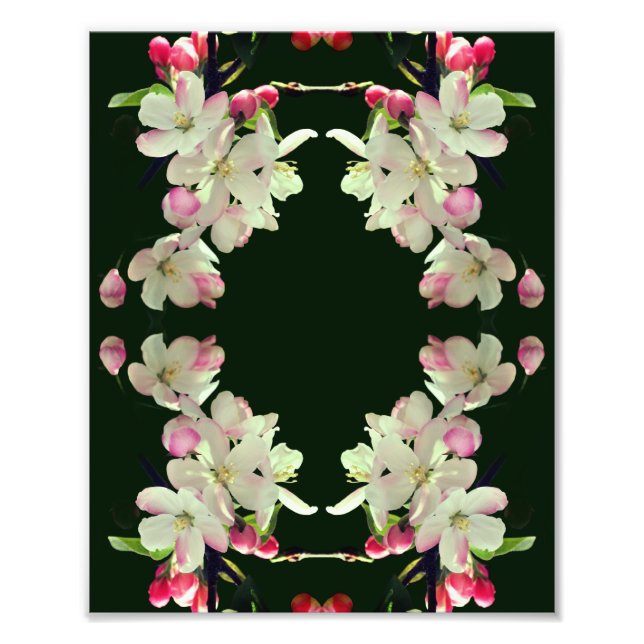Foto Blossomas de Maçã de Primavera inicial Abstrato Ar (Frente)