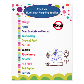 Foto Blue Death Feiging Beetle