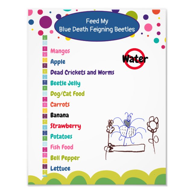 Foto Blue Death Feiging Beetle (Frente)