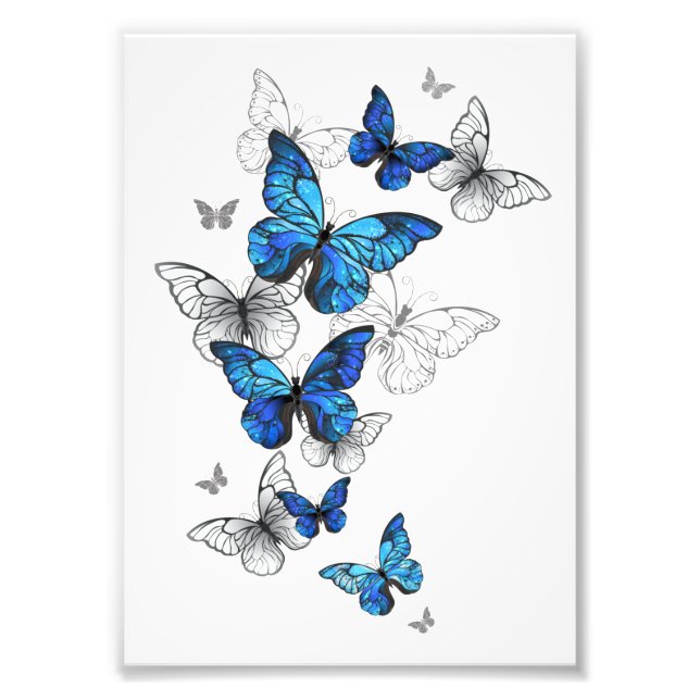 Foto Blue Flying Butterflies Morpho (Frente)