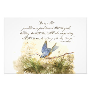 Foto Bluebird no Poema Inspiracional Victor Hugo