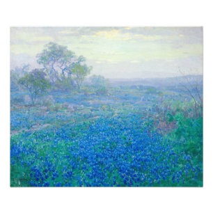 Foto Bluebonnets perto de San Antonio, Texas por Onderd