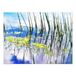 Foto Blues e Grass