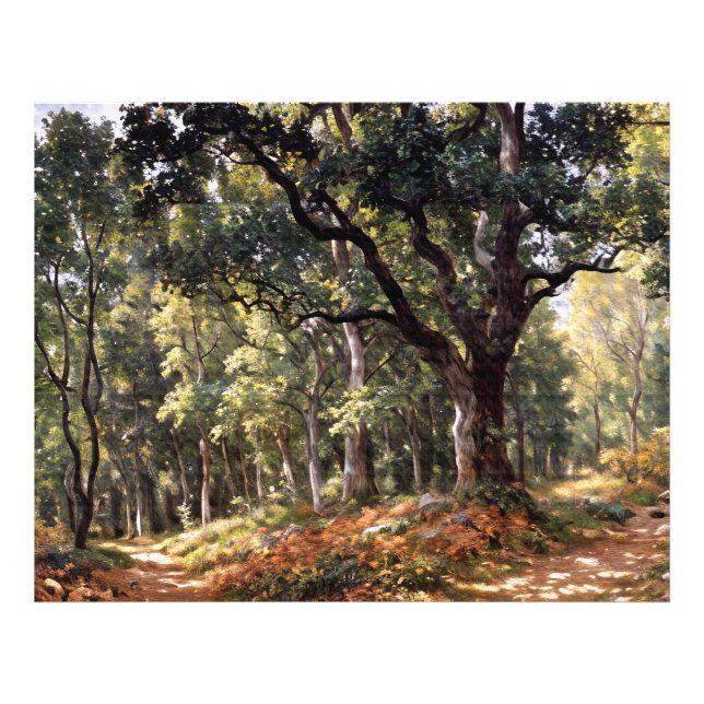 Foto Bodmer Oak (Frente)