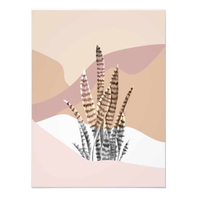 Foto Boho Abstrato Modern Succulent (Frente)