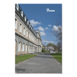 Foto Bona