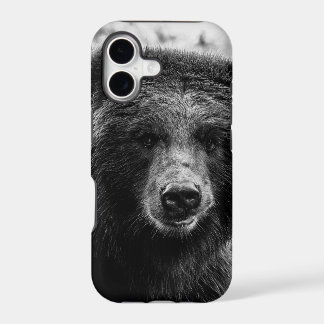 Foto bonita do urso de urso