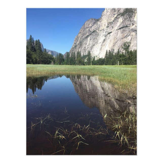 Foto Bonita Natureza (Frente)