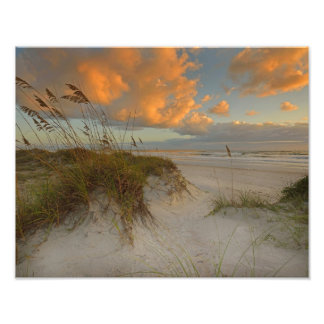Foto Bonitas dunas de areia na praia de Daytona, FL