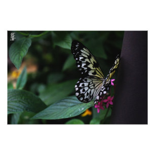 Foto Borboleta Amarela em Flores Rosa