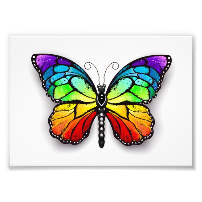 Foto Borboleta-arco-íris Monarca (Frente)