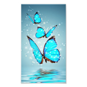 Foto borboleta azul brilhante bonita
