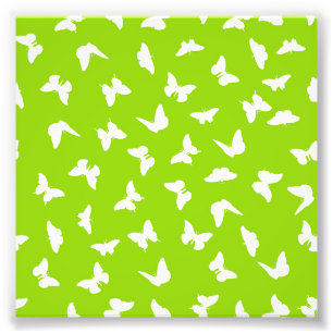Foto Borboleta Branca Fundo Verde Padrão Estético