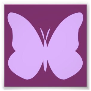 Foto borboleta do lilac