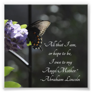 Foto Borboleta e Flor Para Minha Mãe Lincoln Cotação
