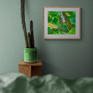 Foto Borboleta Malachite em Folha Verde