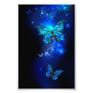 Foto Borboleta Morpho em Fundo Escuro