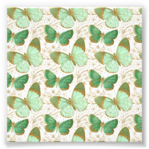 Foto Borboleta Verde Floral Flor Branca Flor