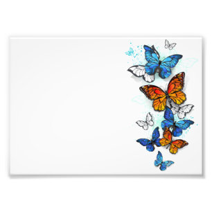Foto Borboletas voadoras Morpho e Monarca