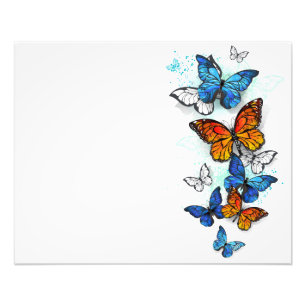 Foto Borboletas voadoras Morpho e Monarca