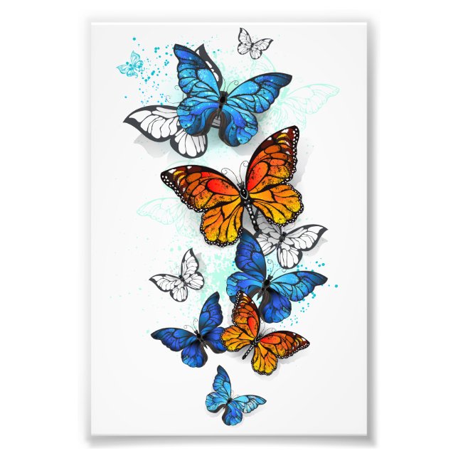 Foto Borboletas voadoras Morpho e Monarca (Frente)