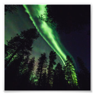 Foto Borealis da Aurora em Lapland finlandês