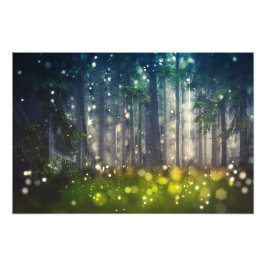 Foto Bosque, árvores em Waldlichtung crepúsculo,