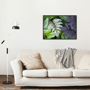 Foto Botânica de Fern e Folhagem Pintada Japonesa