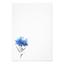 Foto Botanical Cornflower Watercolor Art Print-Stage1