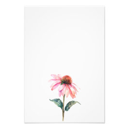 Foto Botanical Echinacea Watercolor Art Print-Stage1