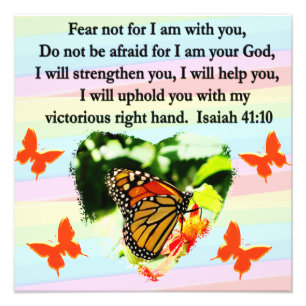 FOTO BOTTERFLY ORANGE ISAIAH 41:10 DESIGN