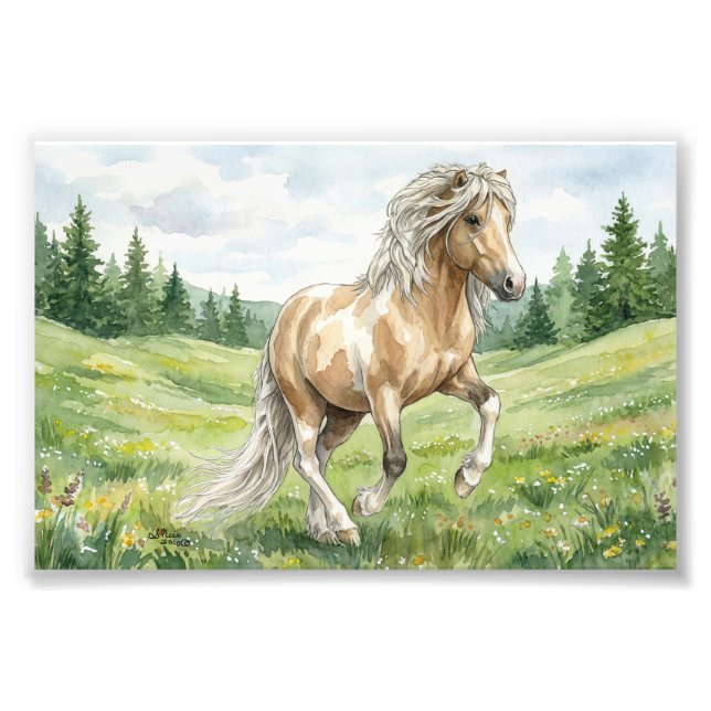 Foto Brana Pinto Palomino Icelandic Watercolor (Frente)
