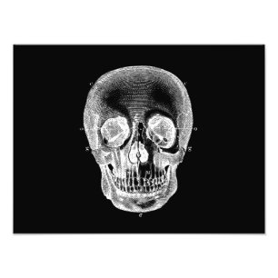 Foto Branco preto anatômico retro do crânio dos 1800s